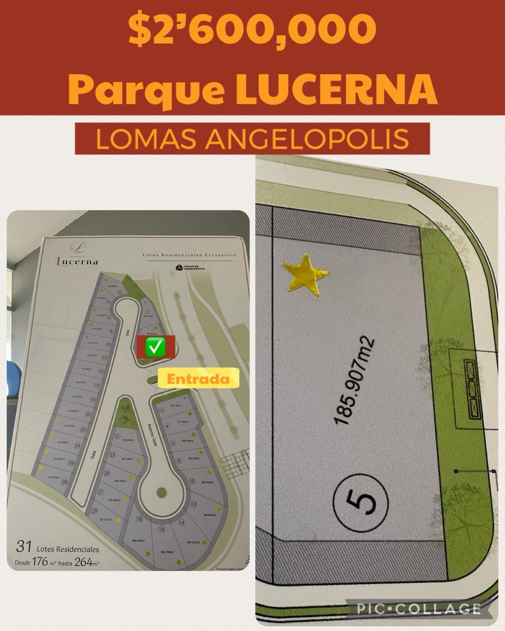 Cluster Lucerna